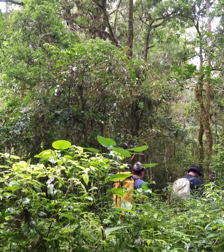 Adventure4Good-乌布必去景点