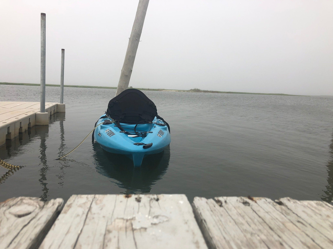Adventure Paddleboards & Kayaks-汉普顿海湾必去景点