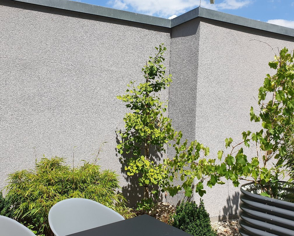 Bischoffs Hotel主图