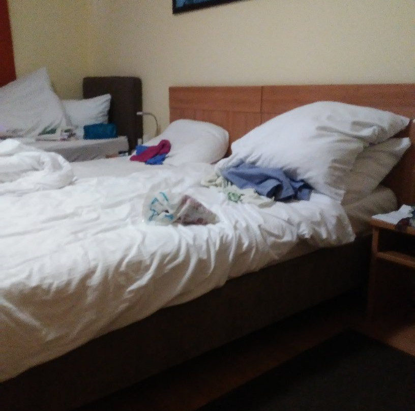 伽尼酒店霍普芬市场店主图