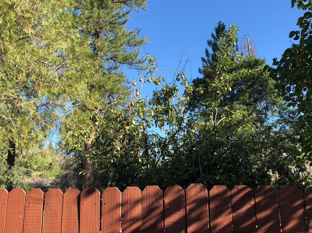 约塞米蒂西门旅馆主图