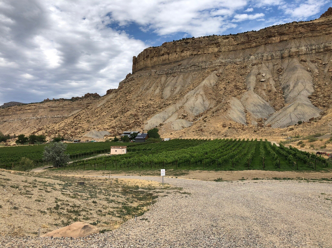 Bookcliff Vineyards-Palisade必去景点