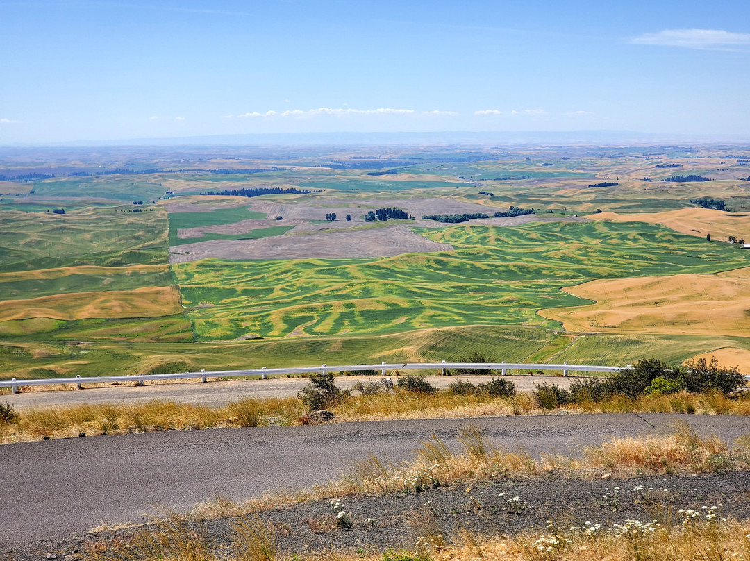 Steptoe Butte State Park-Colfax必去景点