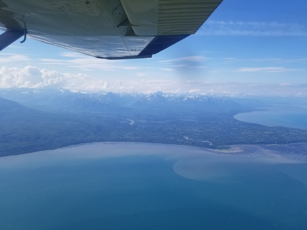 Bearfoot Tours-荷马必去景点