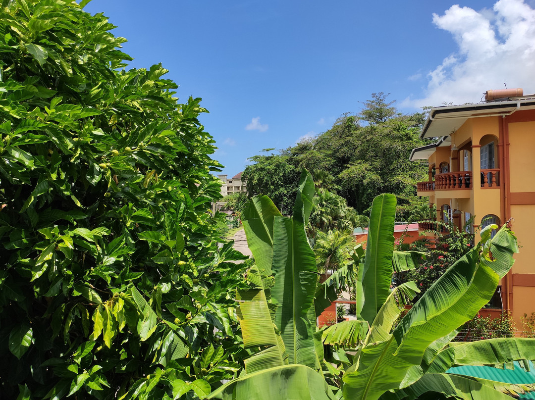 Jessie's Guest House主图