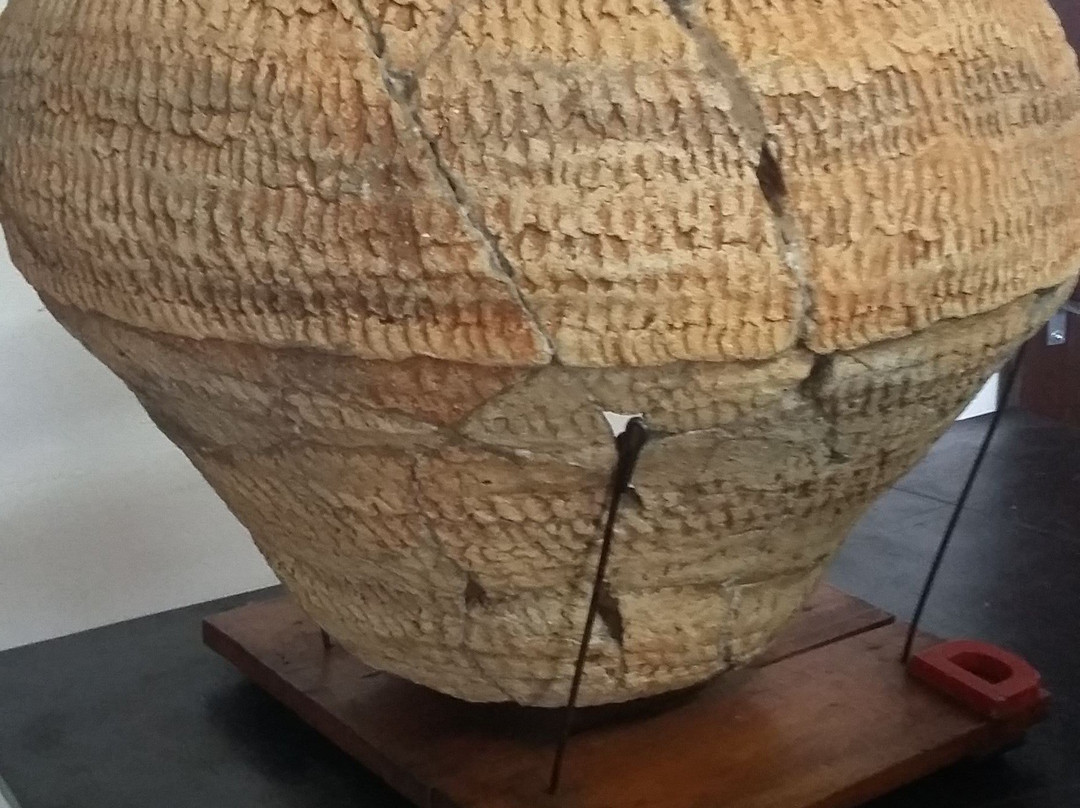 Herminio Bueno Historic Municipal Museum-Mogi Guacu必去景点