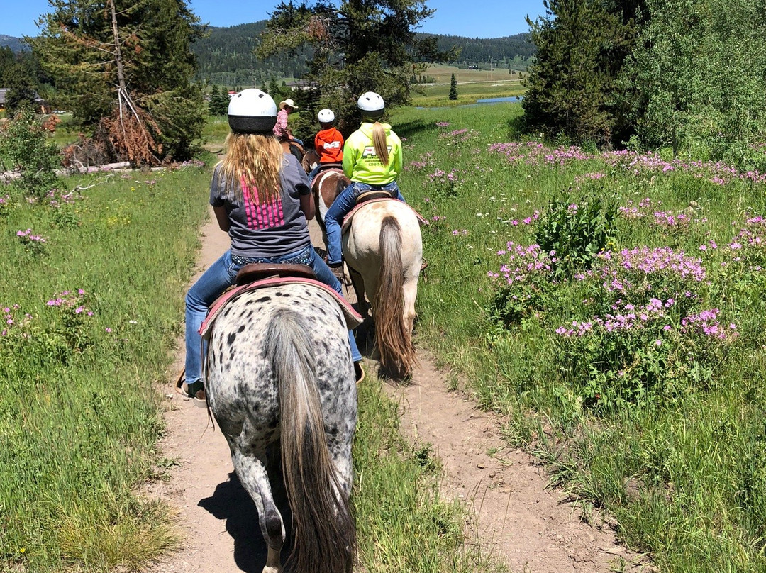 Creekside Trail Rides-西黄石镇必去景点