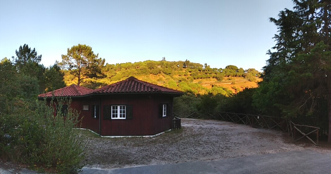 Centro De Recuperacao Do Lobo Iberico景点图片