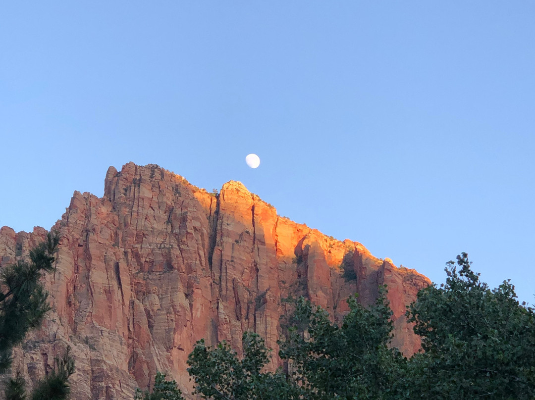 Cliffrose  Springdale, A Curio Collection By Hilton主图