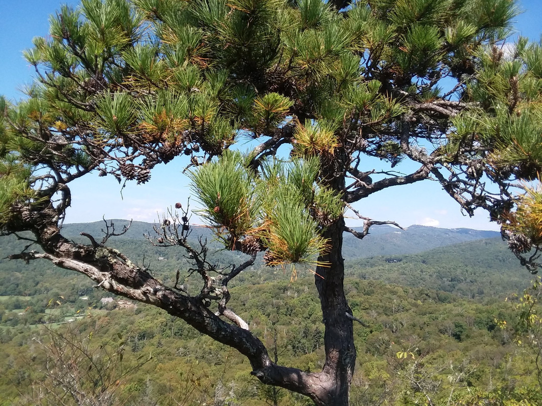 Flat Rock Trail景点图片