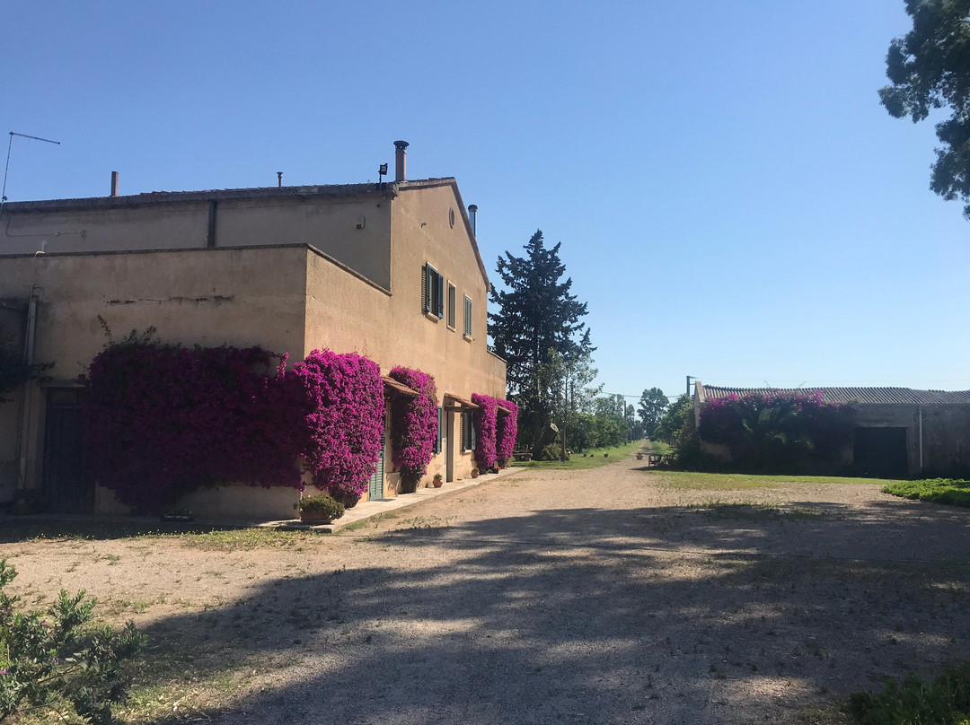 Perronello Country House B&B主图