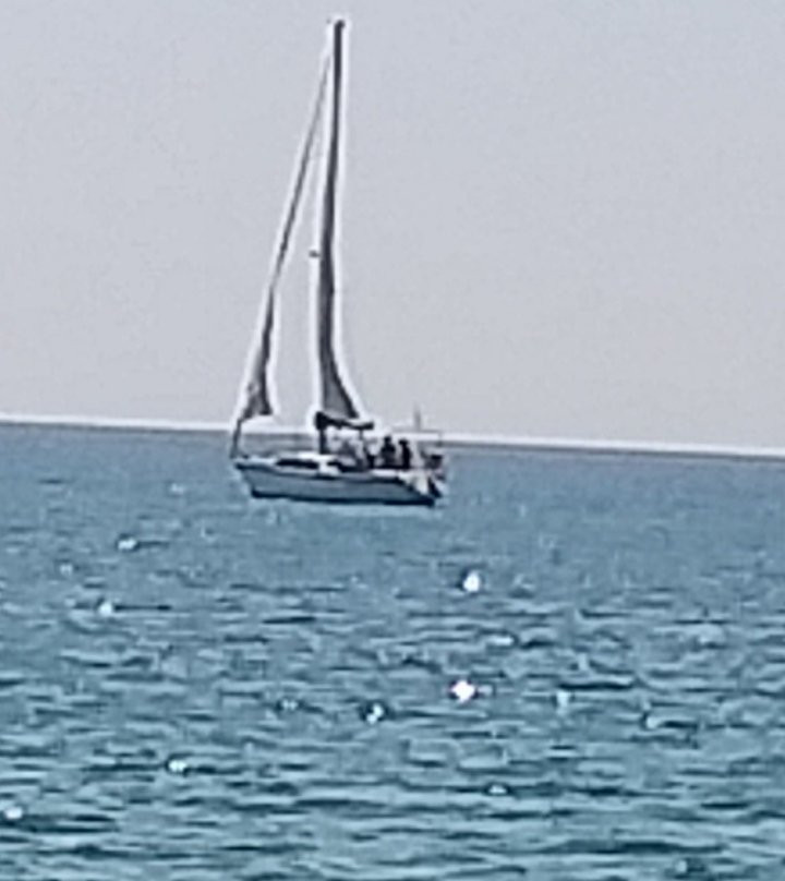 Sailing The Gulf asd景点图片
