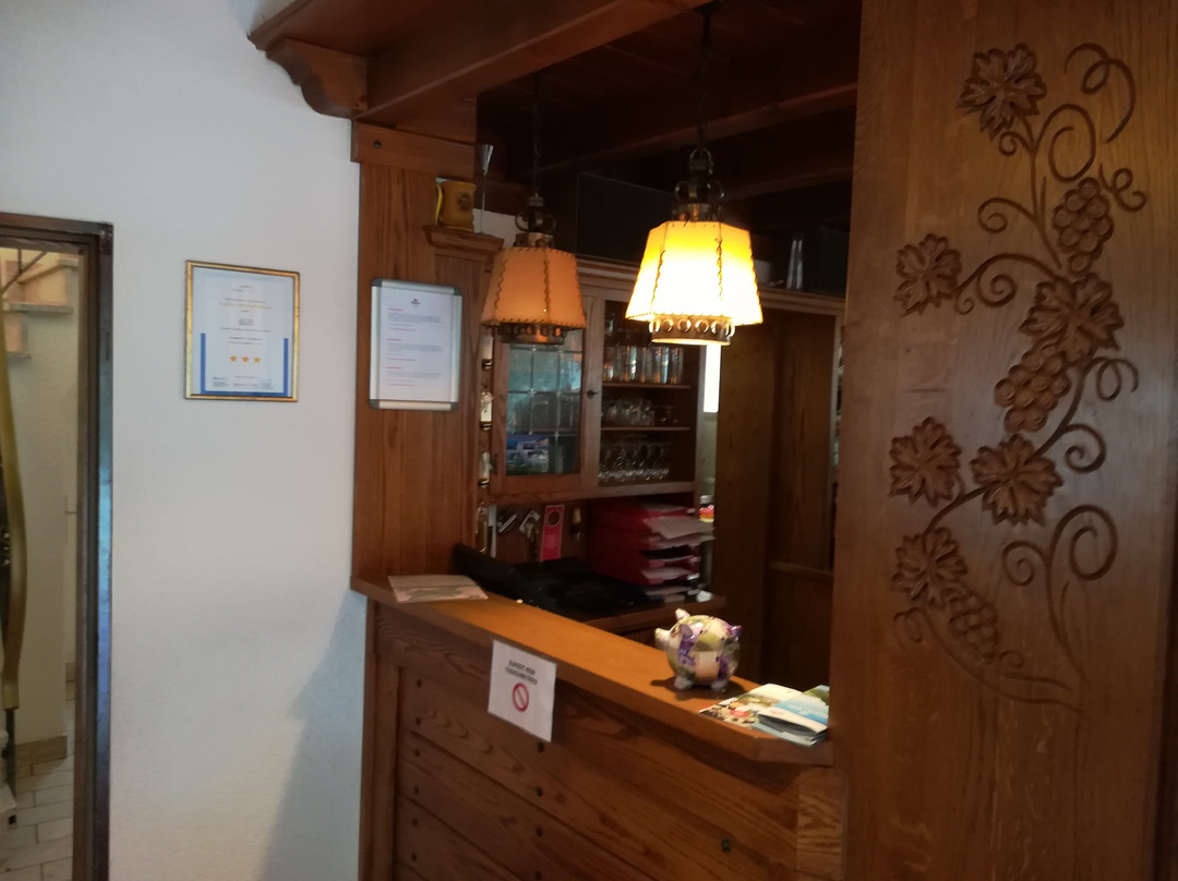 Hotel Krone主图