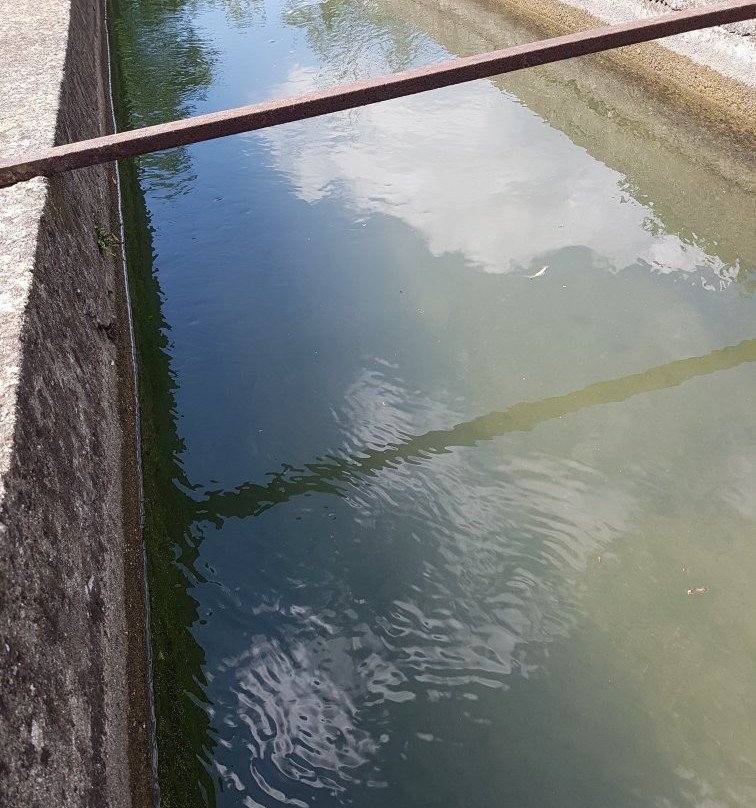 Tombe Morte e Tredici Ponti-Genivolta必去景点