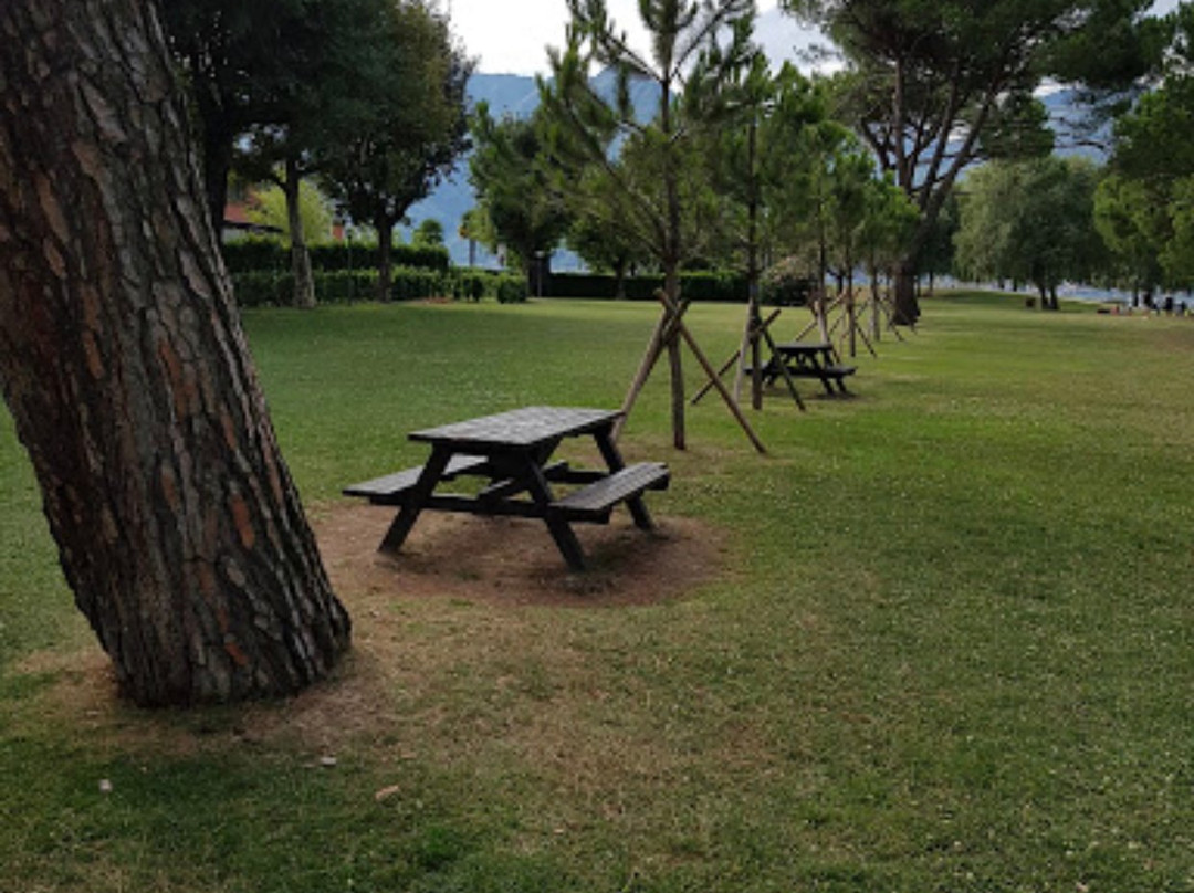 Parco il Boschetto景点图片