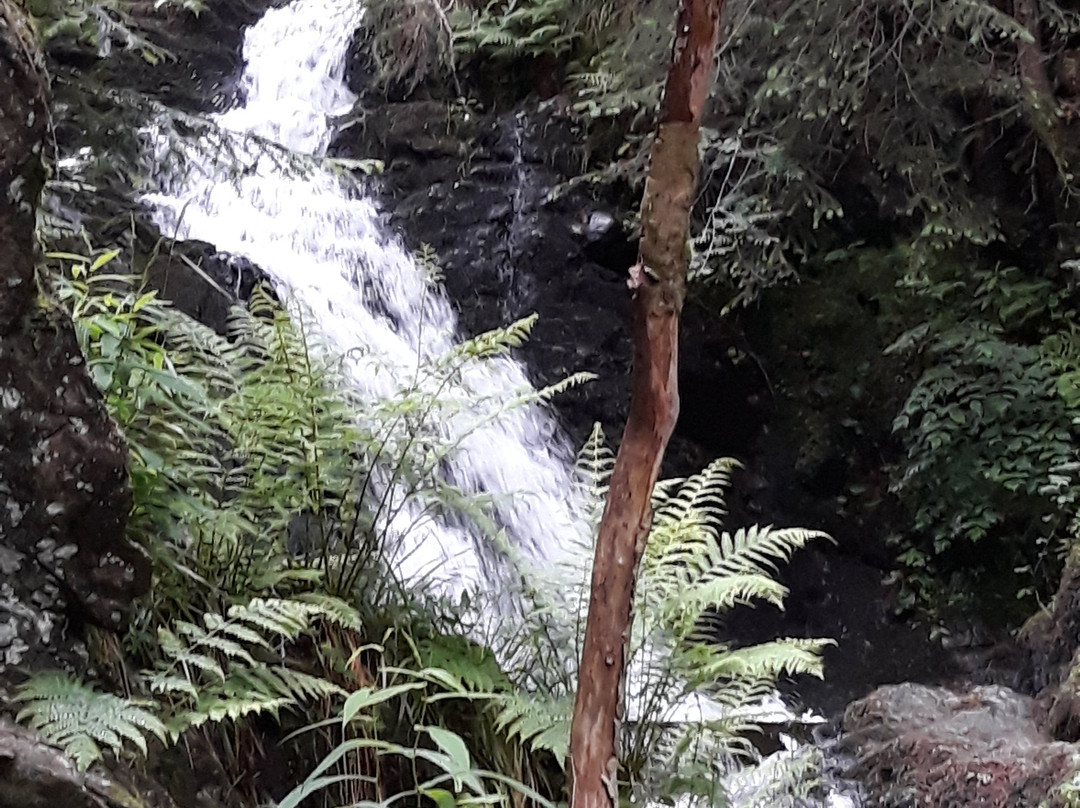 Todtmoos Waterfall-Todtmoos必去景点