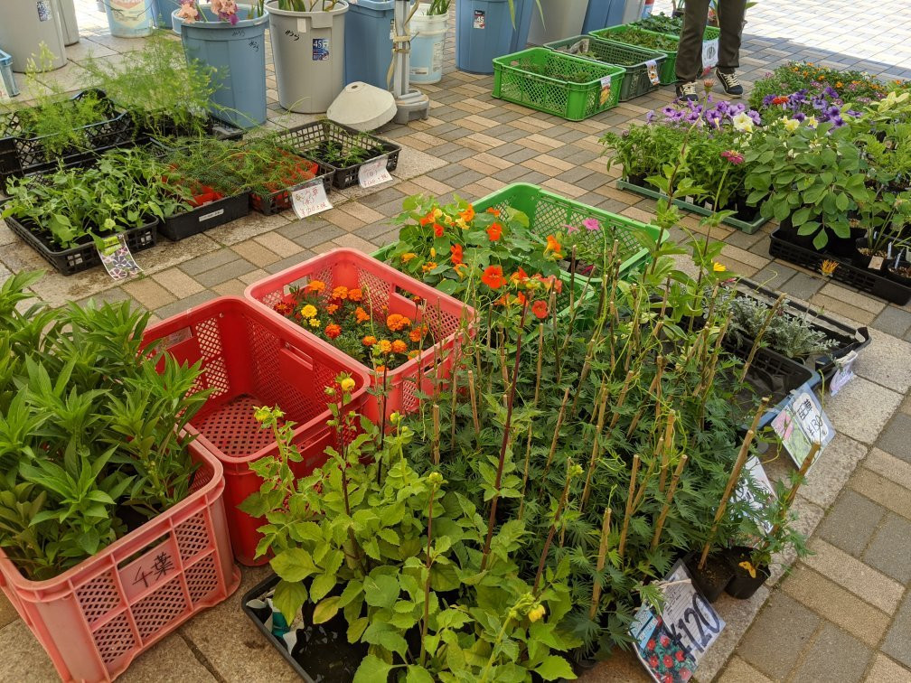 Michi-no-Eki Ishigami no Oka-岩手町必去景点