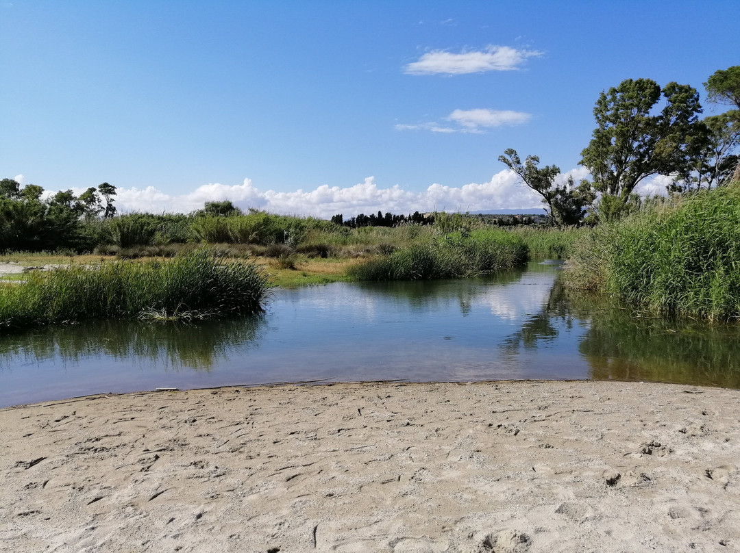 Area Naturalistica delle Dune di Giovino-Catanzaro Lido必去景点