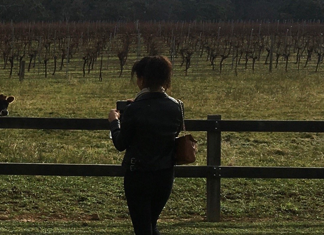 Highland Vines-鲍勒尔必去景点