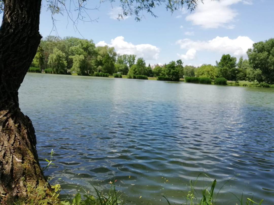 Boating Lake景点图片