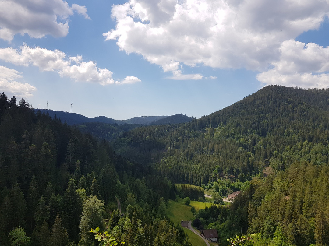 Burgbachwasserfall-Bad Rippoldsau-Schapbach必去景点