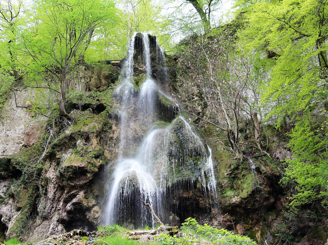 Uracher Wasserfall景点图片
