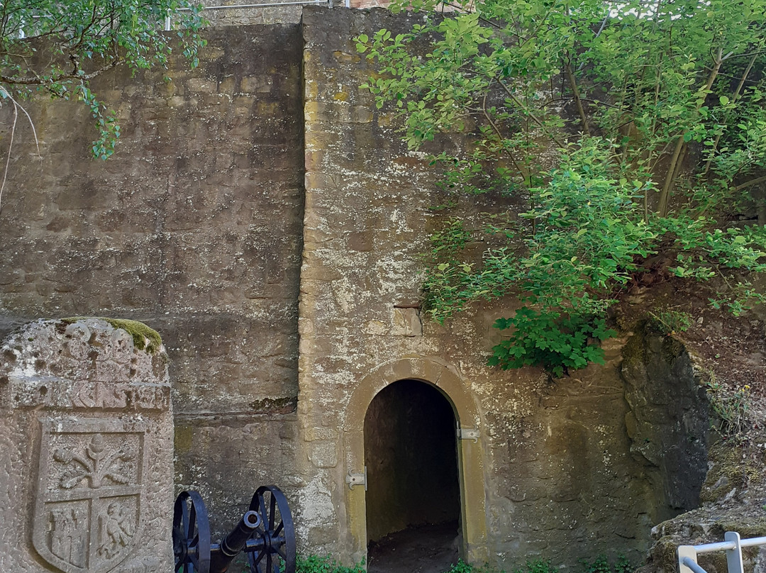 Burgruine Falkenstein景点图片