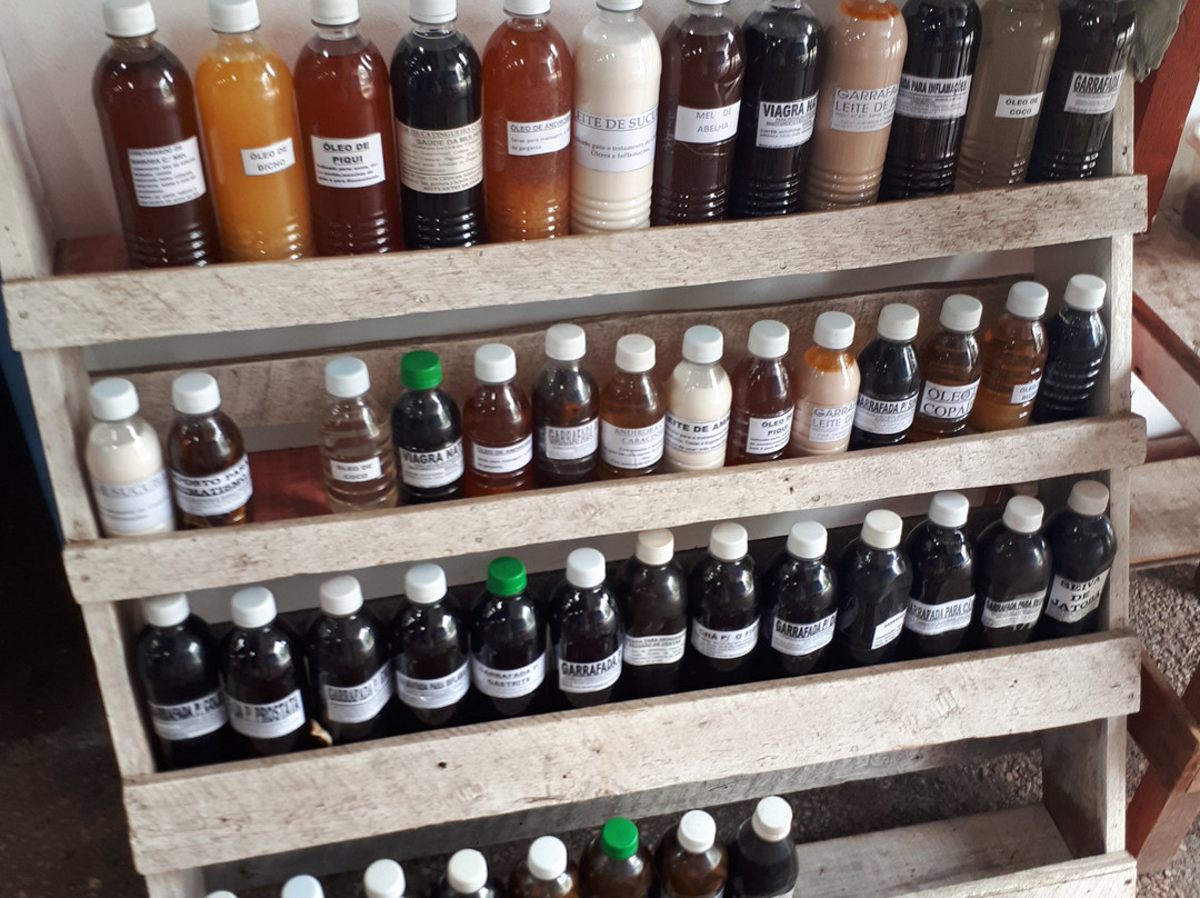 Mercado Municipal de Soure-Soure必去景点