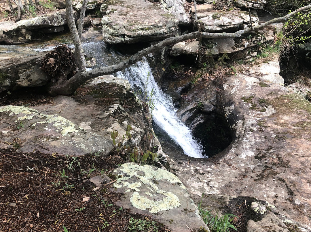 Wilderness Rider Buffalo Ranch & Adventure Park-Kingston必去景点