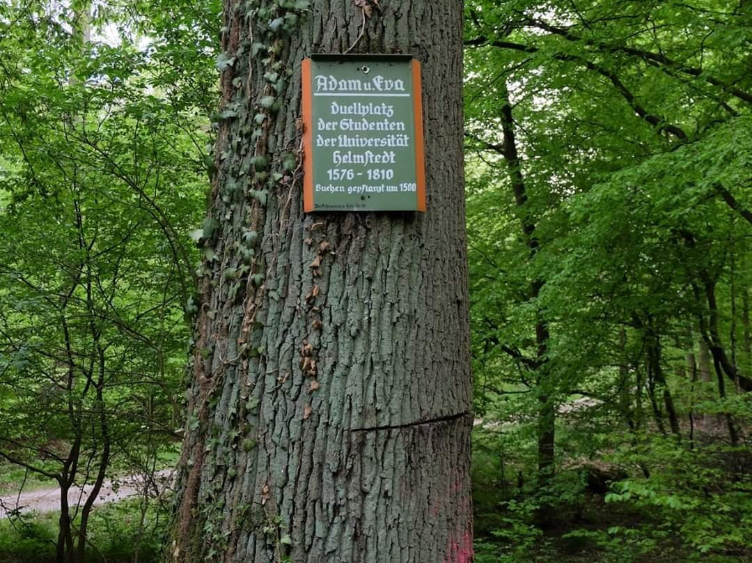 Adam & Eva-Helmstedt必去景点