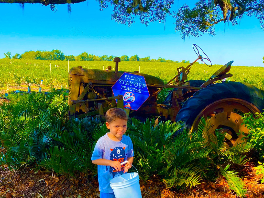 Amber Brooke Farms Williston-Williston必去景点