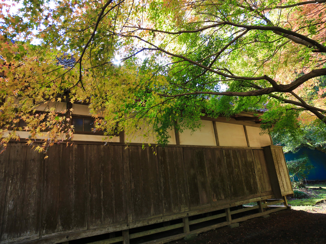 Hankoji Temple-匝瑳市必去景点
