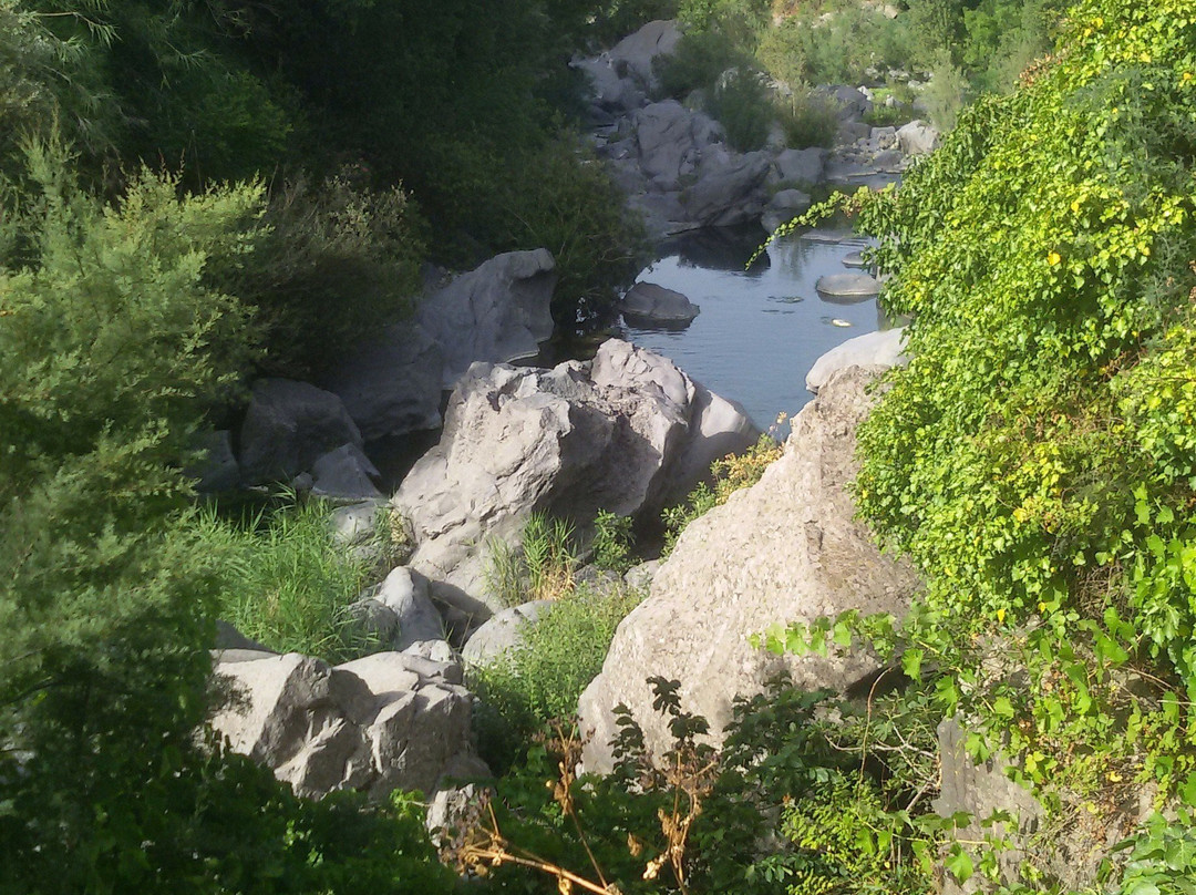 Alcantara River Park景点图片
