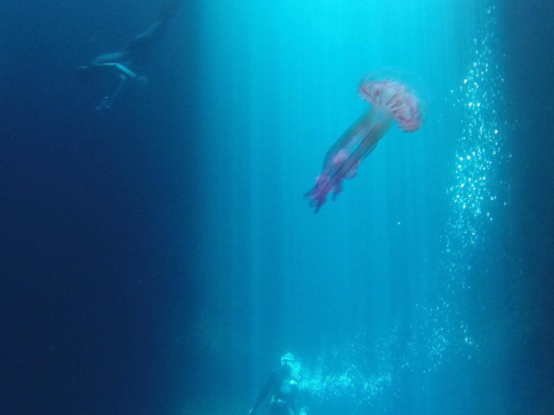 Freediving school - Apneists UK-曼彻斯特必去景点