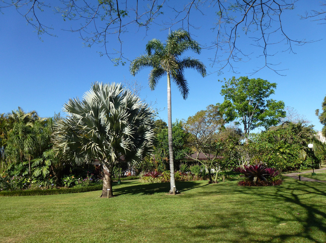 Hotel Bougainvillea主图