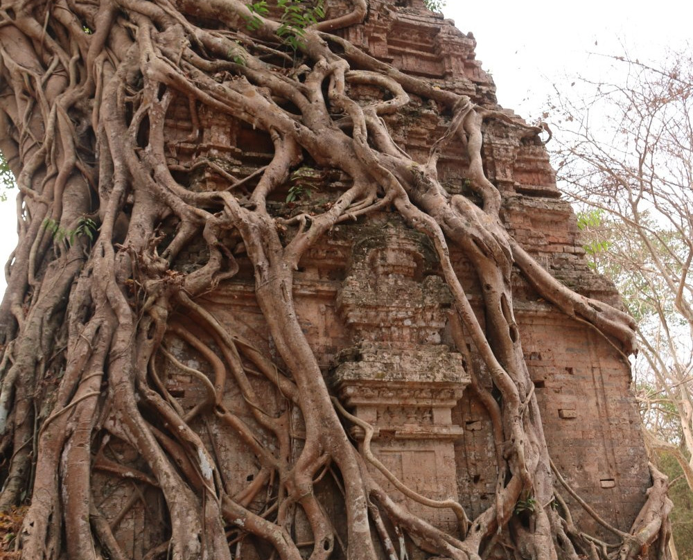 Daem Chrei Temple-磅同必去景点