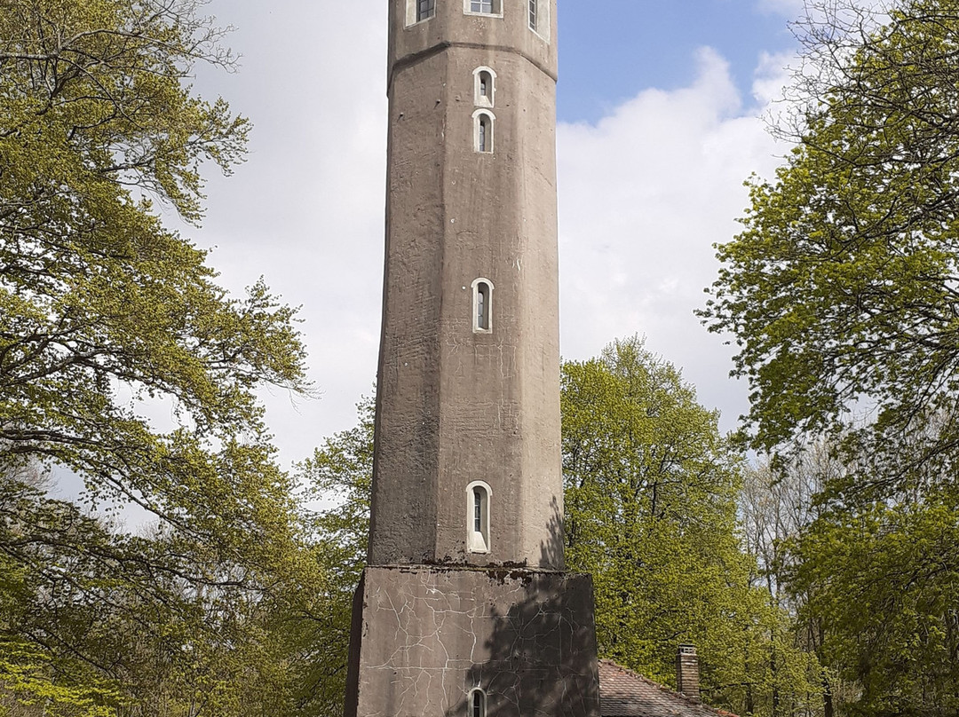 Ludwigsturm auf dem Donnersberg景点图片