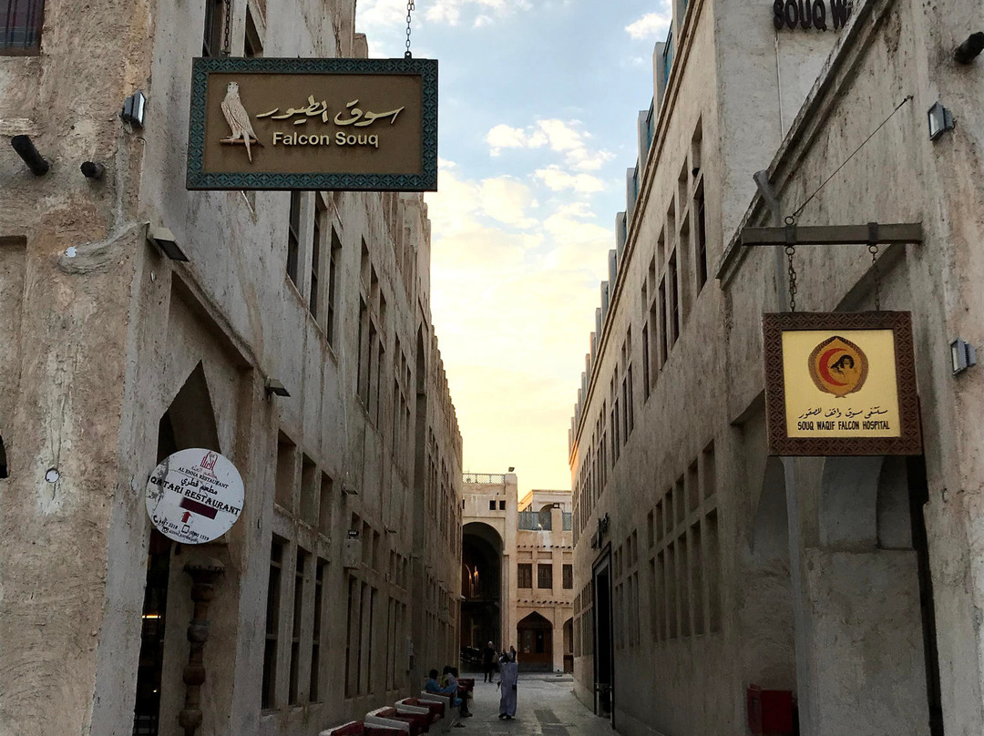 2025年2月Souq Waqif Falcon Hospital景点攻略-Souq Waqif Falcon Hospital门票预订|地址 ...
