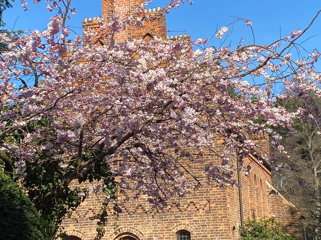 Bispebjerg Cemetery景点图片