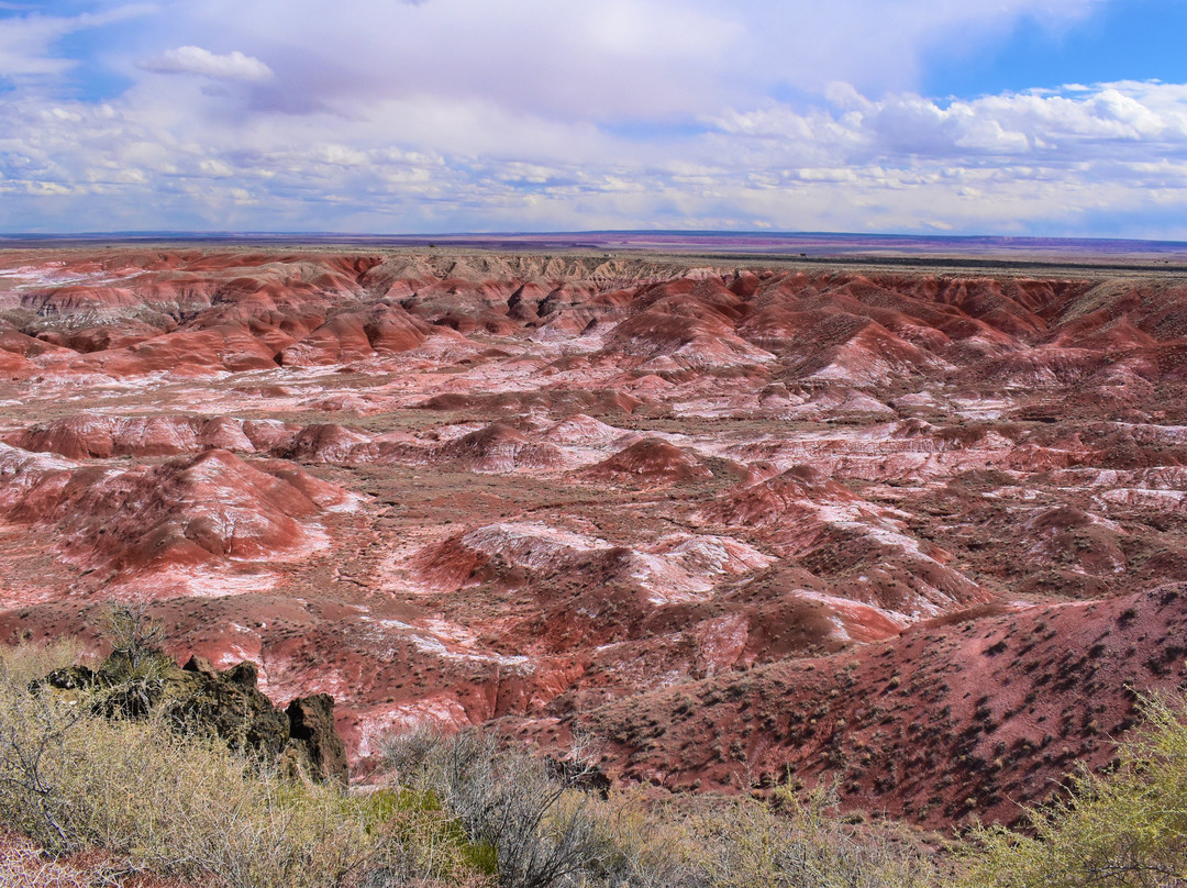 Painted Desert Rim Trail-石化林国家公园必去景点