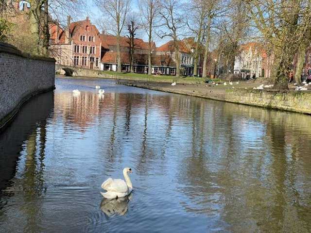 Tour Local-布鲁日必去景点