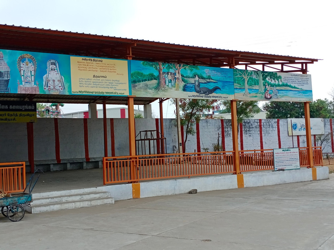 Avinashi Temple-Tiruppur必去景点