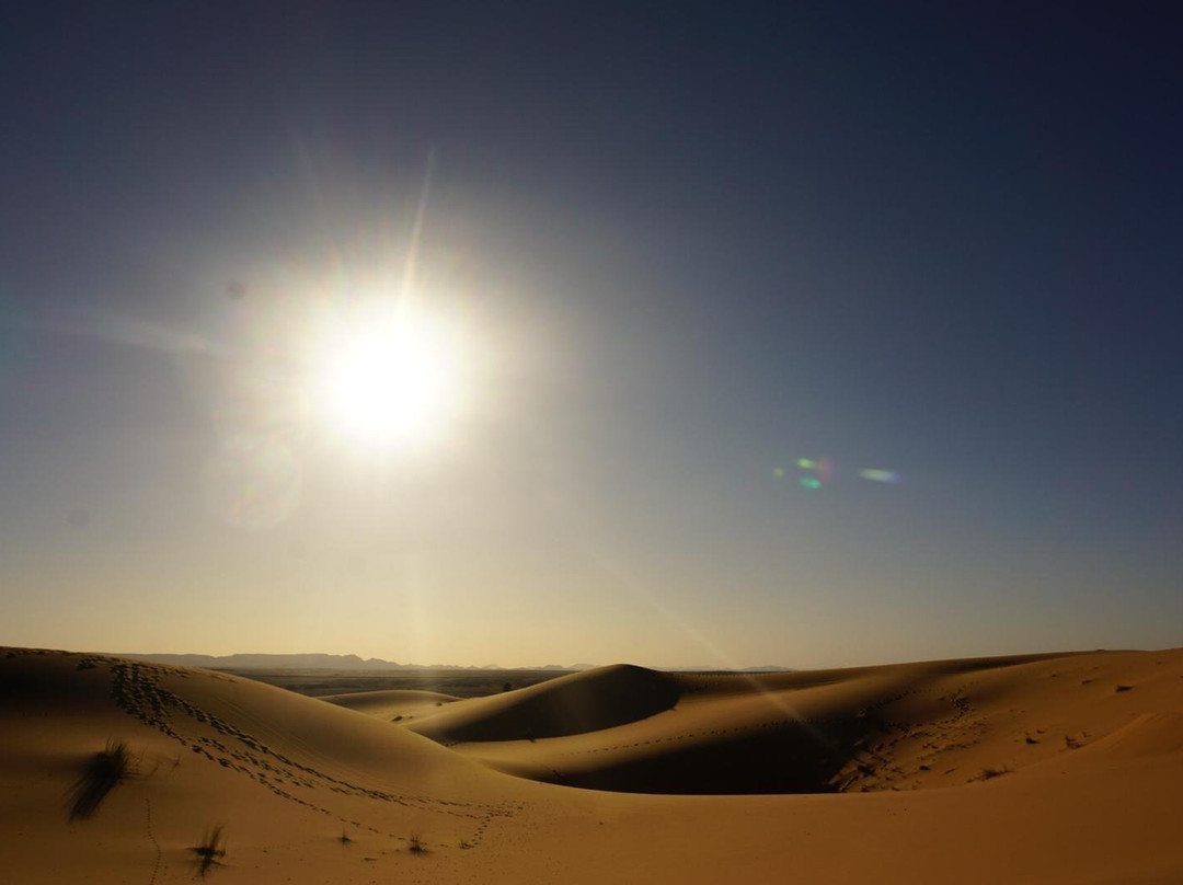 Morocco Nomads Tours-非斯必去景点