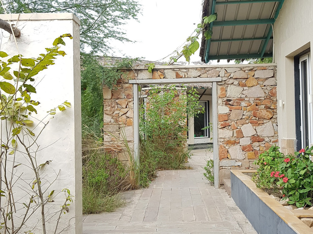 Trees N Tigers Sariska主图