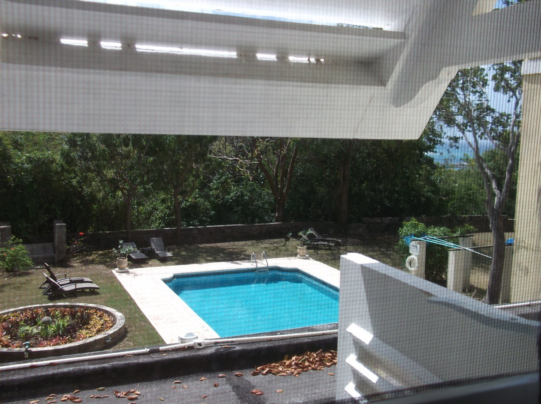 Colleton Guest House主图