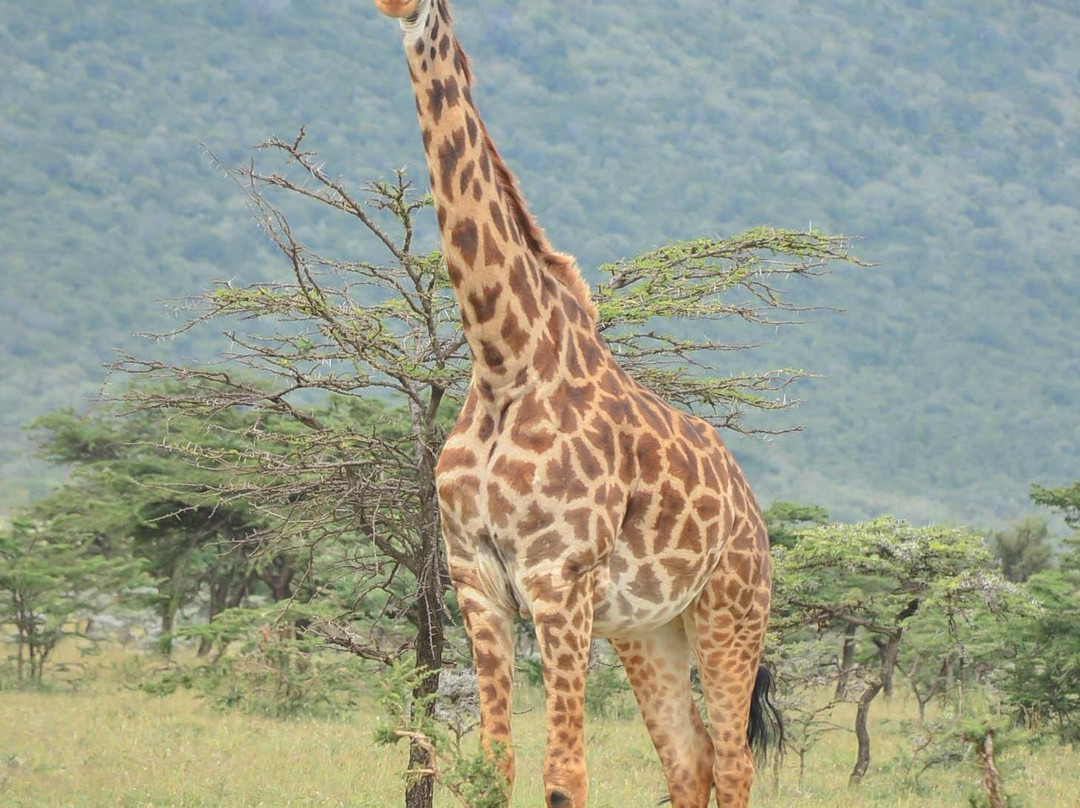 MOHRALE TOURS $ TRAVEL-Eldoret必去景点