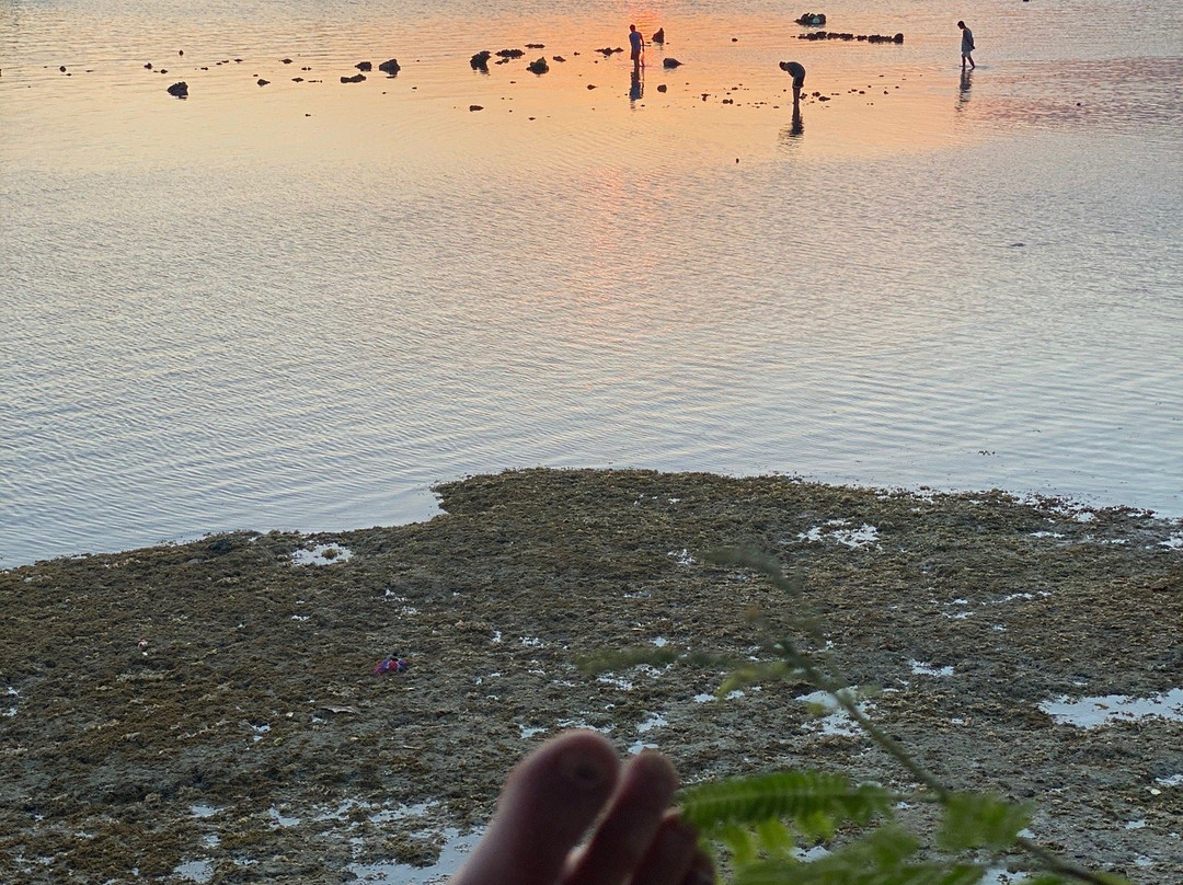 Sea View Hostel主图