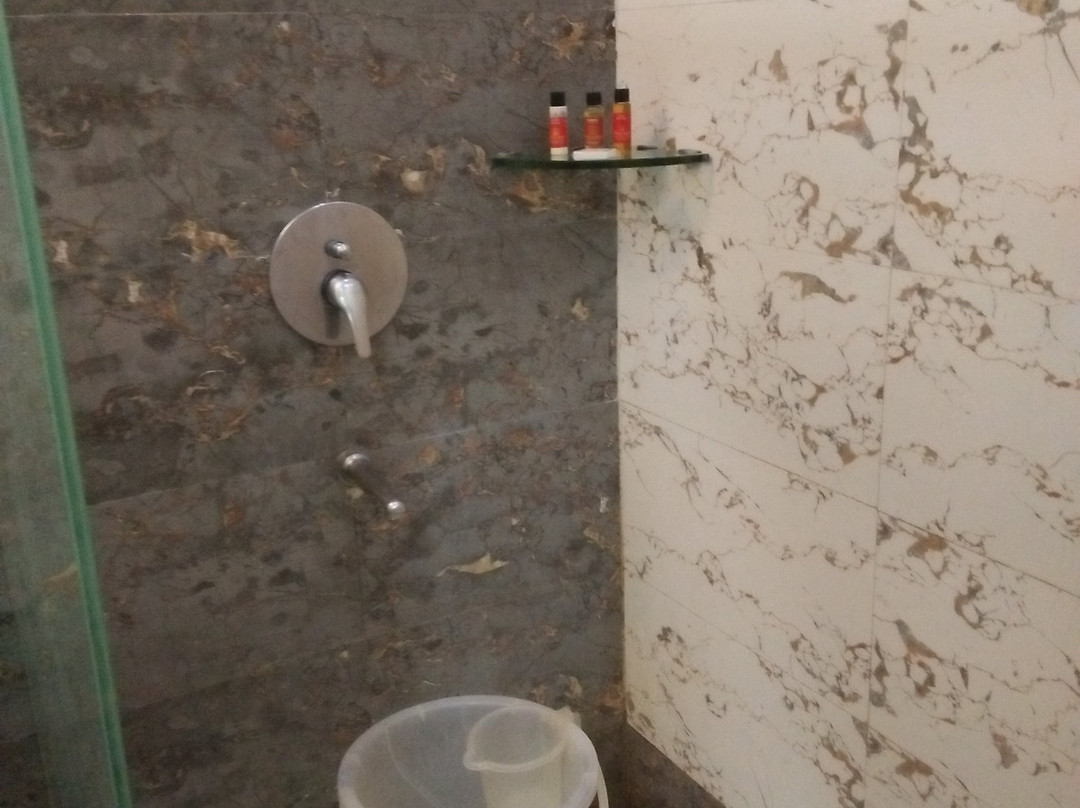 Hotel The Royal Bharti主图