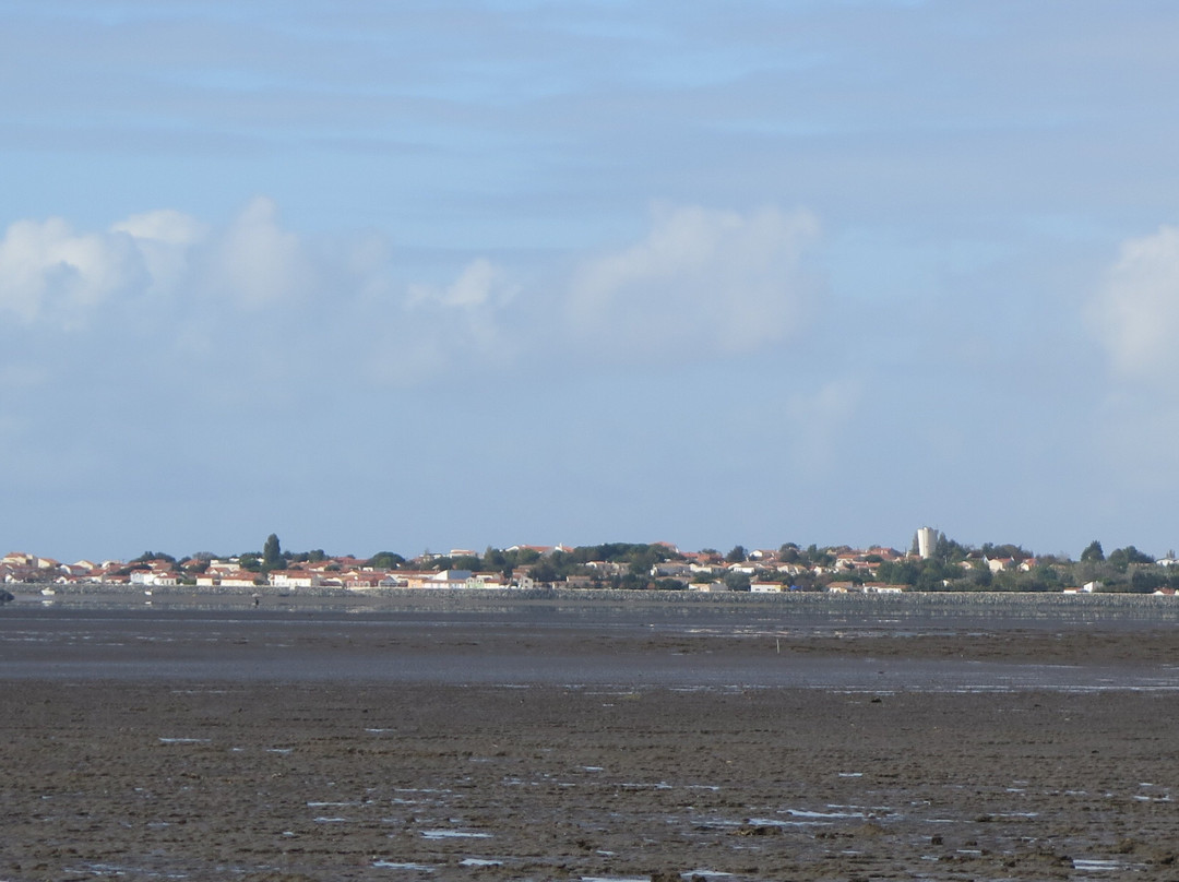 Reserve Naturelle du Marais d'Yves-Yves必去景点