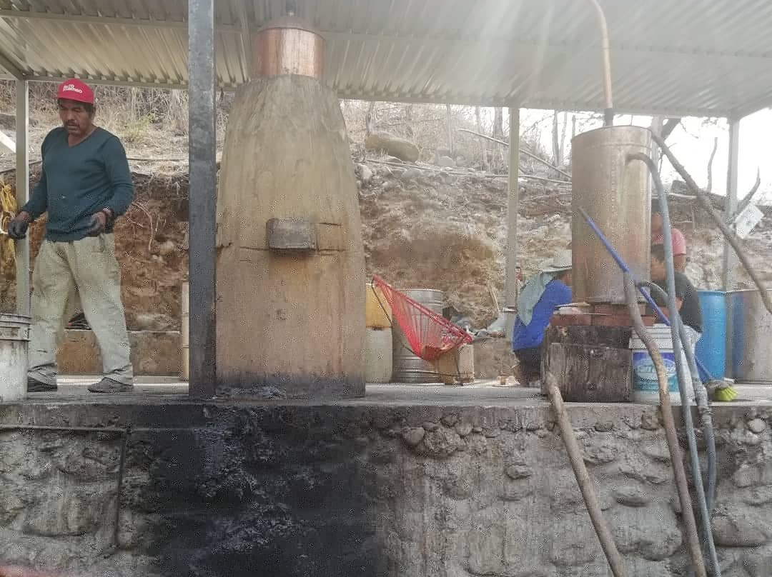 Pulqueria La Sed-Malinalco必去景点